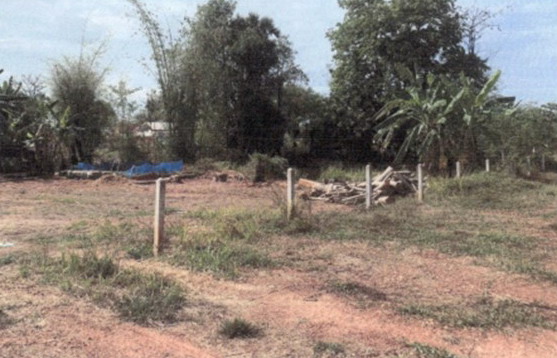 รูปที่ดินว่างเปล่า ไผ่ล้อม บ้านแพง นครพนม