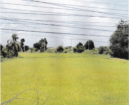 รูปที่ดินว่างเปล่า ฆะมัง ชุมแสง นครสวรรค์