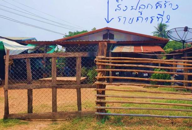 รูปที่ดินพร้อมสิ่งปลูกสร้าง หนองหัววัว พรานกระต่าย กำแพงเพชร