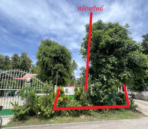 รูปที่ดินว่างเปล่า ดงบัง คอนสาร ชัยภูมิ