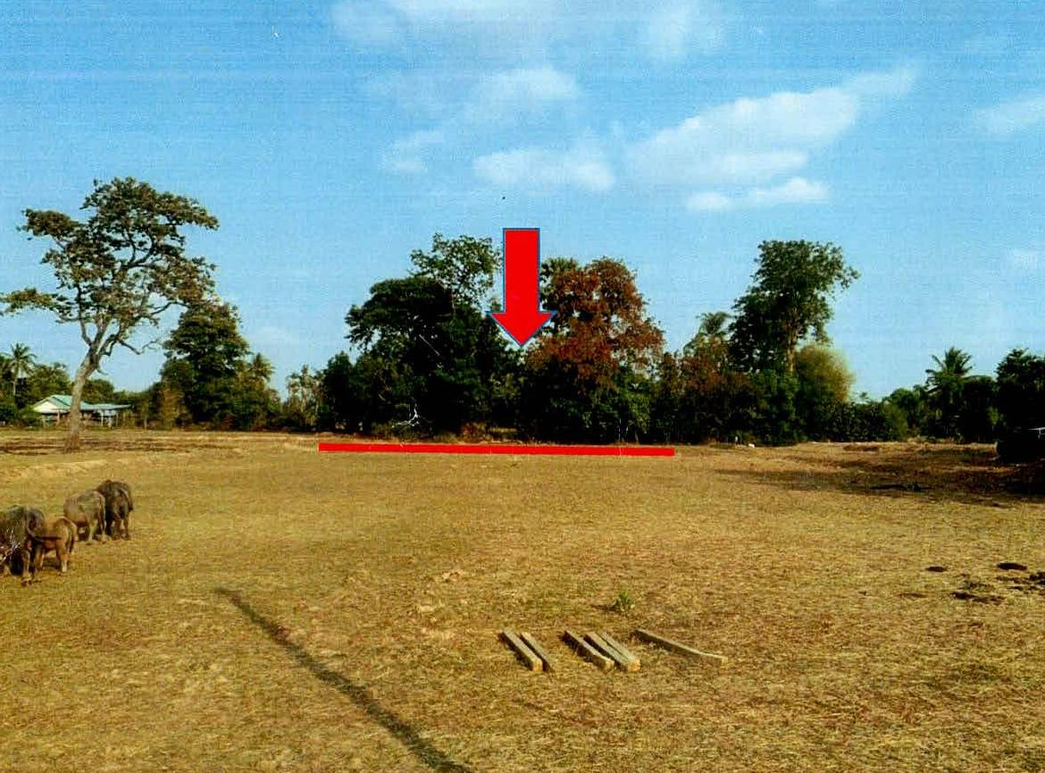 รูปที่ดินว่างเปล่า สำโรง เมืองสุรินทร์ สุรินทร์