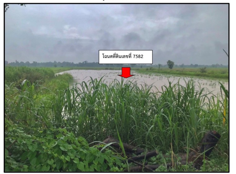 รูปที่ดินว่างเปล่า หัวถนน คลองขลุง กำแพงเพชร