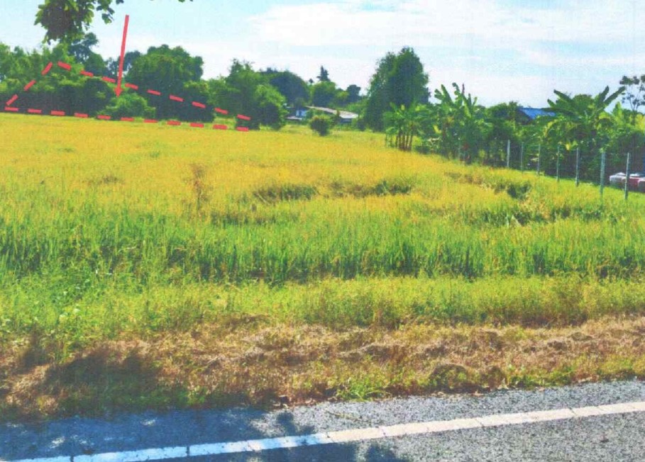 รูปที่ดินว่างเปล่า ไก่เส่า หนองแซง สระบุรี