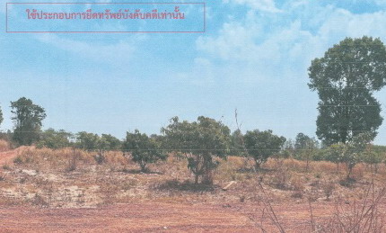 รูปที่ดินว่างเปล่า สหัสขันธ์ สหัสขันธ์ กาฬสินธุ์