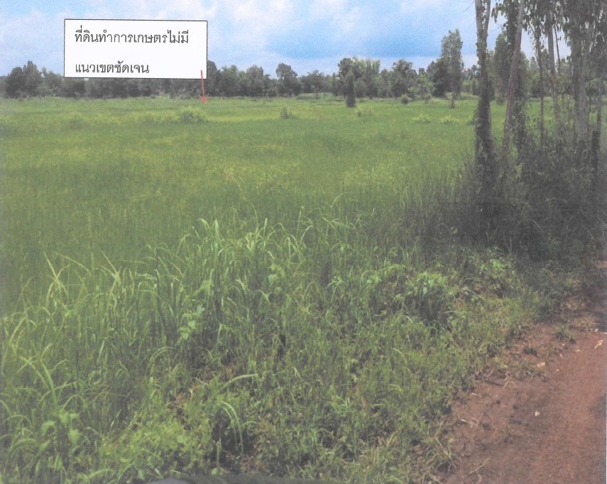 รูปที่ดินว่างเปล่า สุมเส้า เพ็ญ อุดรธานี