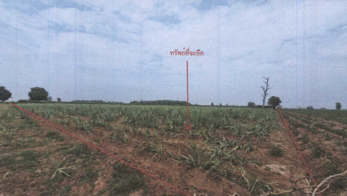 รูปที่ดินว่างเปล่า นายูง ศรีธาตุ อุดรธานี