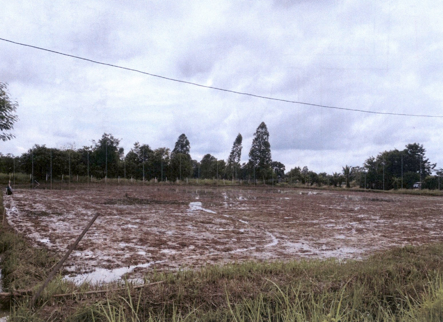 รูปที่ดินว่างเปล่า ลำพาน เมืองกาฬสินธุ์ กาฬสินธุ์