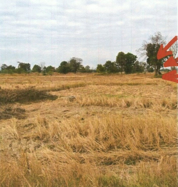รูปที่ดินว่างเปล่า บ้านเหล่า บ้านฝาง ขอนแก่น