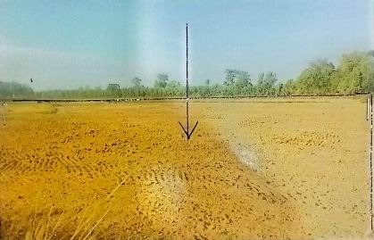 รูปที่ดินว่างเปล่า หนองผือ เขาวง กาฬสินธุ์