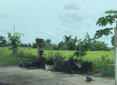 รูปที่ดินว่างเปล่า เขวาทุ่ง ธวัชบุรี ร้อยเอ็ด