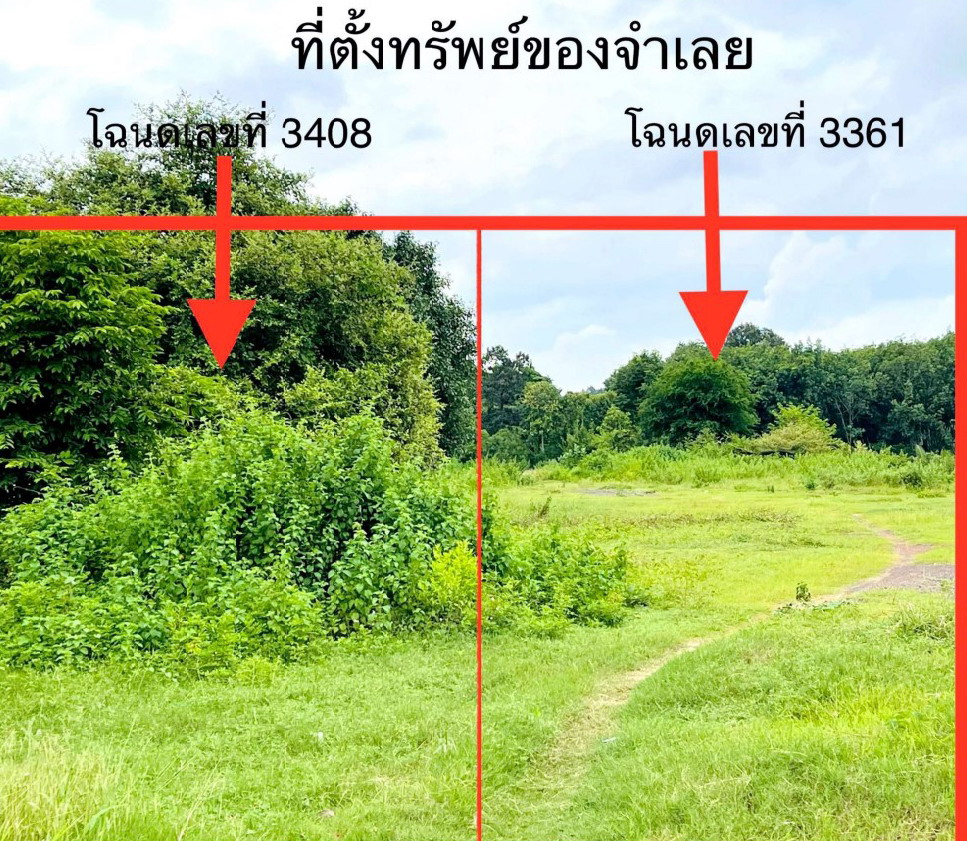 รูปที่ดินว่างเปล่า ท่าช้าง สว่างวีระวงศ์ อุบลราชธานี
