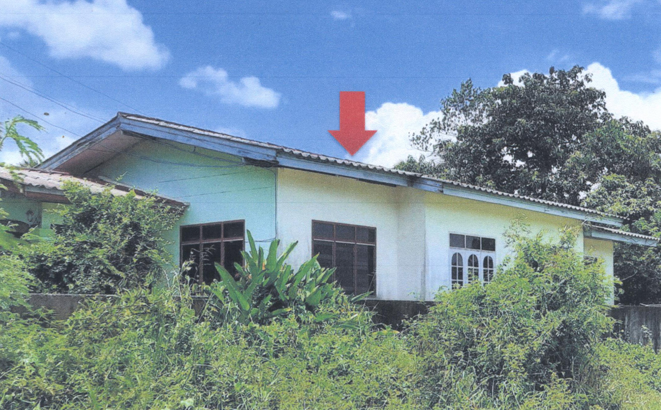 รูปที่ดินพร้อมสิ่งปลูกสร้าง วัดสน ระโนด สงขลา