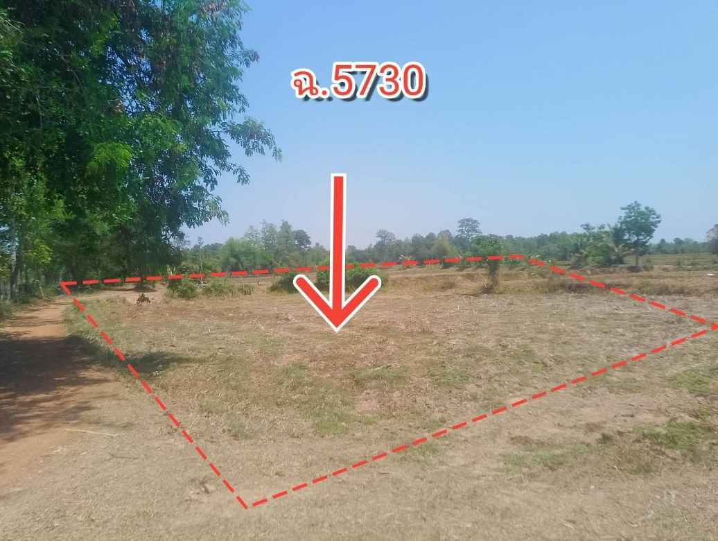 รูปที่ดินว่างเปล่า บ้านโนน ซำสูง ขอนแก่น