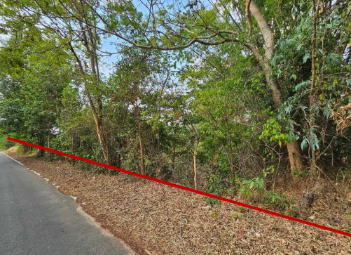 รูปที่ดินว่างเปล่า หนองเหล่า เขื่องใน อุบลราชธานี