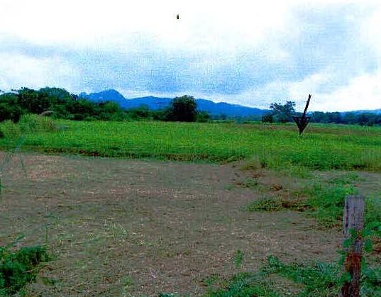 รูปที่ดินว่างเปล่า เมือง เมืองเลย เลย