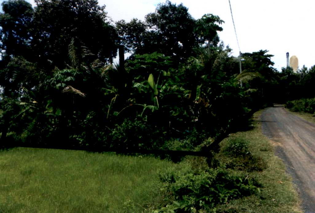 รูปที่ดินว่างเปล่า หนองกง นางรอง บุรีรัมย์