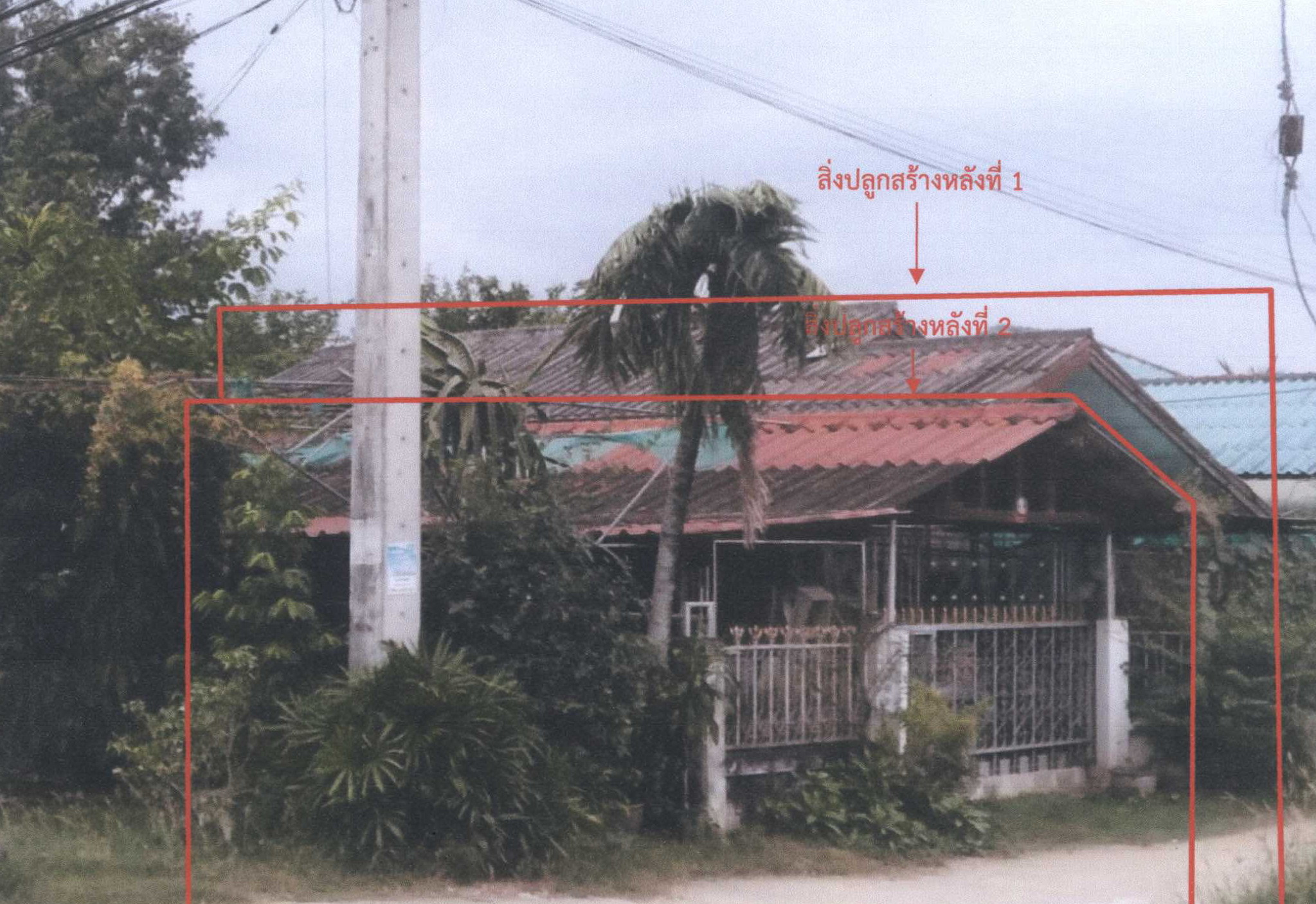 รูปที่ดินพร้อมสิ่งปลูกสร้าง วังหมัน สามเงา ตาก