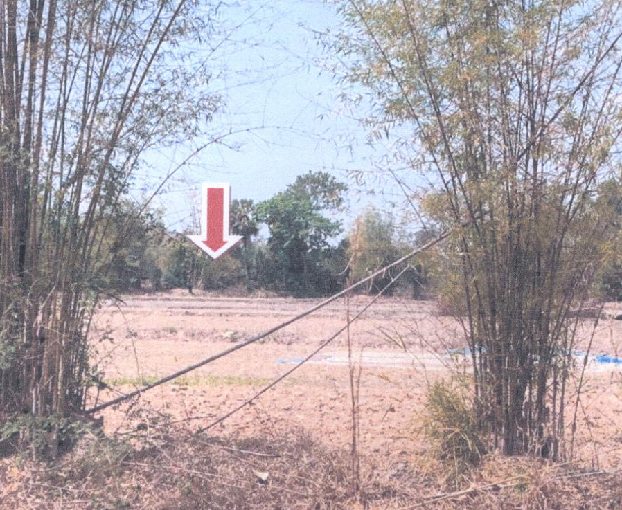 รูปที่ดินว่างเปล่า นาสะไม ตระการพืชผล อุบลราชธานี