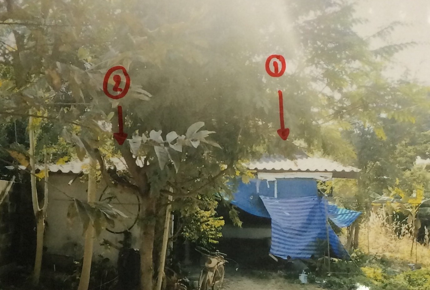 รูปที่ดินพร้อมสิ่งปลูกสร้าง ป่าสัก เมืองลำพูน ลำพูน