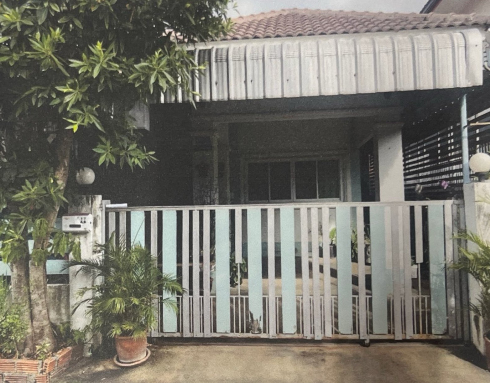 รูปที่ดินพร้อมสิ่งปลูกสร้าง ป่าสัก เมืองลำพูน ลำพูน