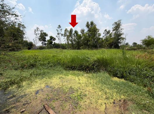 รูปที่ดินว่างเปล่า น้ำอ้อม เกษตรวิสัย ร้อยเอ็ด