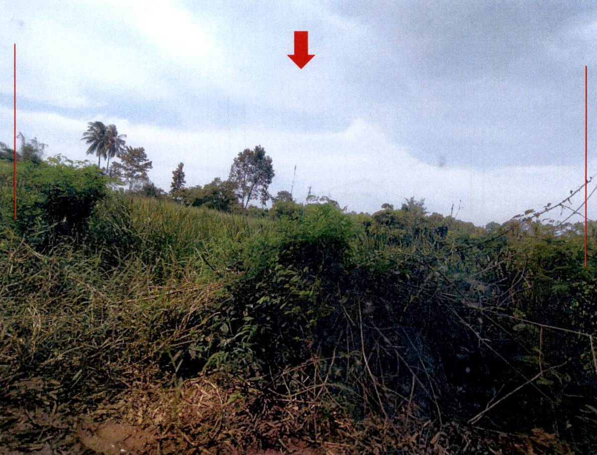 รูปที่ดินว่างเปล่า นาตาล ท่าคันโท กาฬสินธุ์