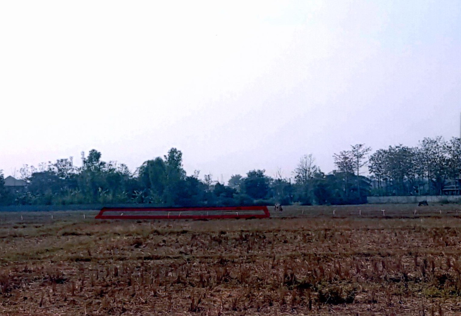 รูปที่ดินว่างเปล่า ทุ่งกวาว เมืองแพร่ แพร่
