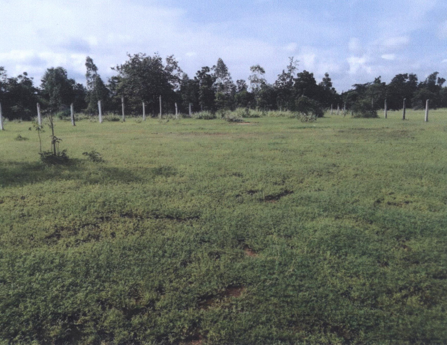 รูปที่ดินว่างเปล่า น้ำรึม เมืองตาก ตาก