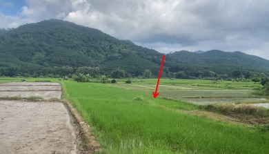 รูปที่ดินว่างเปล่า ตับเต่า เทิง เชียงราย