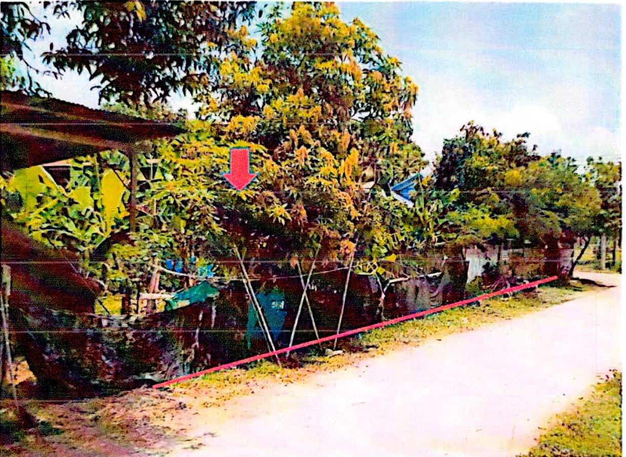 รูปที่ดินว่างเปล่า บัวหุ่ง ราษีไศล ศรีสะเกษ