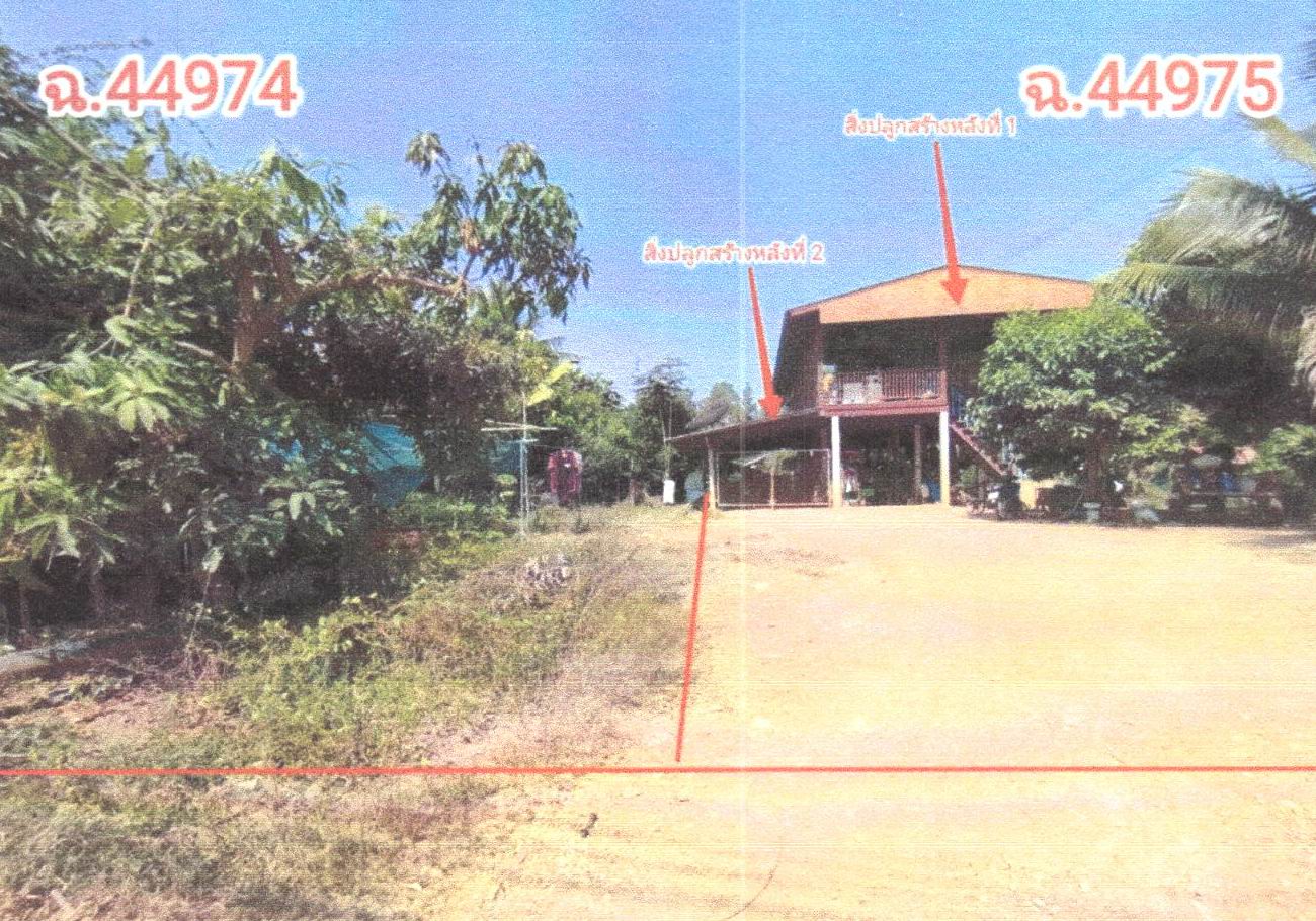 รูปที่ดินว่างเปล่า ท่ามะเฟือง พิชัย อุตรดิตถ์