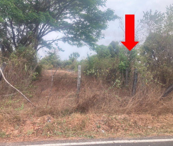 รูปที่ดินว่างเปล่า ขามใหญ่ เมืองอุบลราชธานี อุบลราชธานี