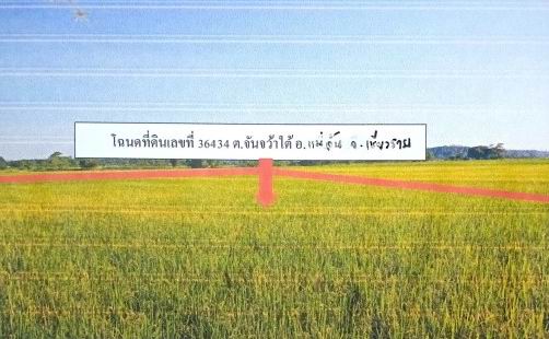 รูปที่ดินว่างเปล่า จันจว้าใต้ แม่จัน เชียงราย