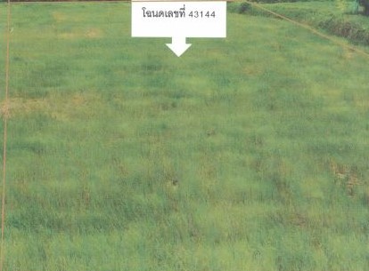 รูปที่ดินว่างเปล่า ด่านคล้า โนนสูง นครราชสีมา