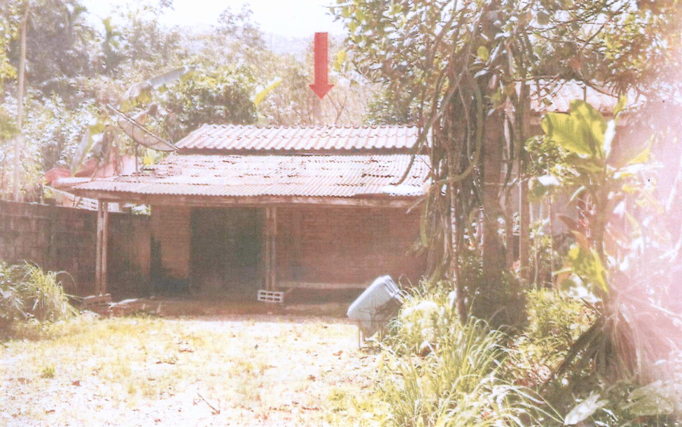 รูปที่ดินพร้อมสิ่งปลูกสร้าง ตะโหมด ตะโหมด พัทลุง