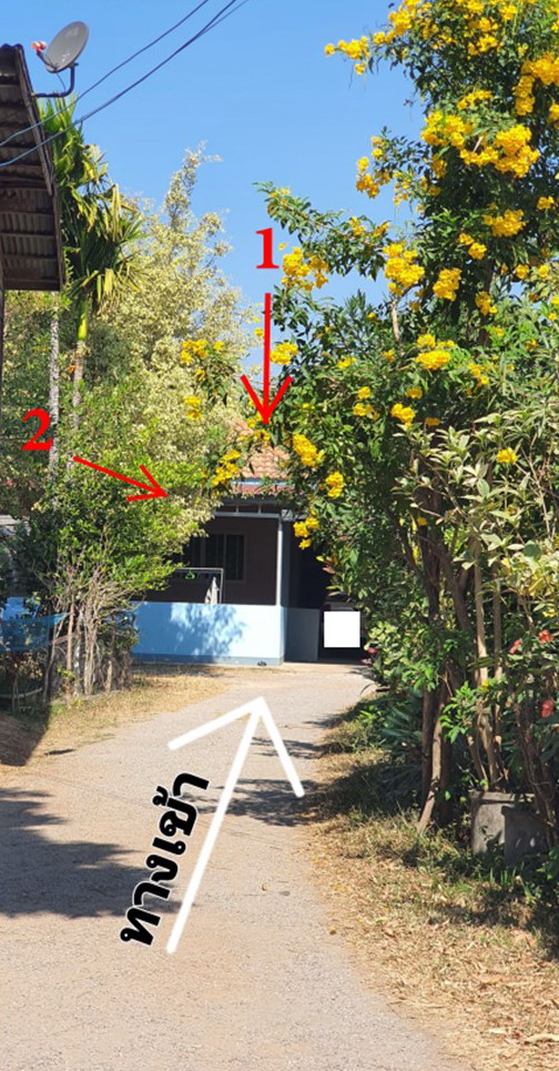 รูปที่ดินพร้อมสิ่งปลูกสร้าง แสนพัน ธาตุพนม นครพนม