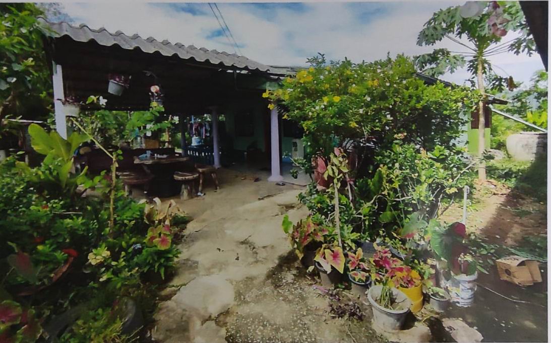รูปที่ดินพร้อมสิ่งปลูกสร้าง หูช้าง บ้านไร่ อุทัยธานี