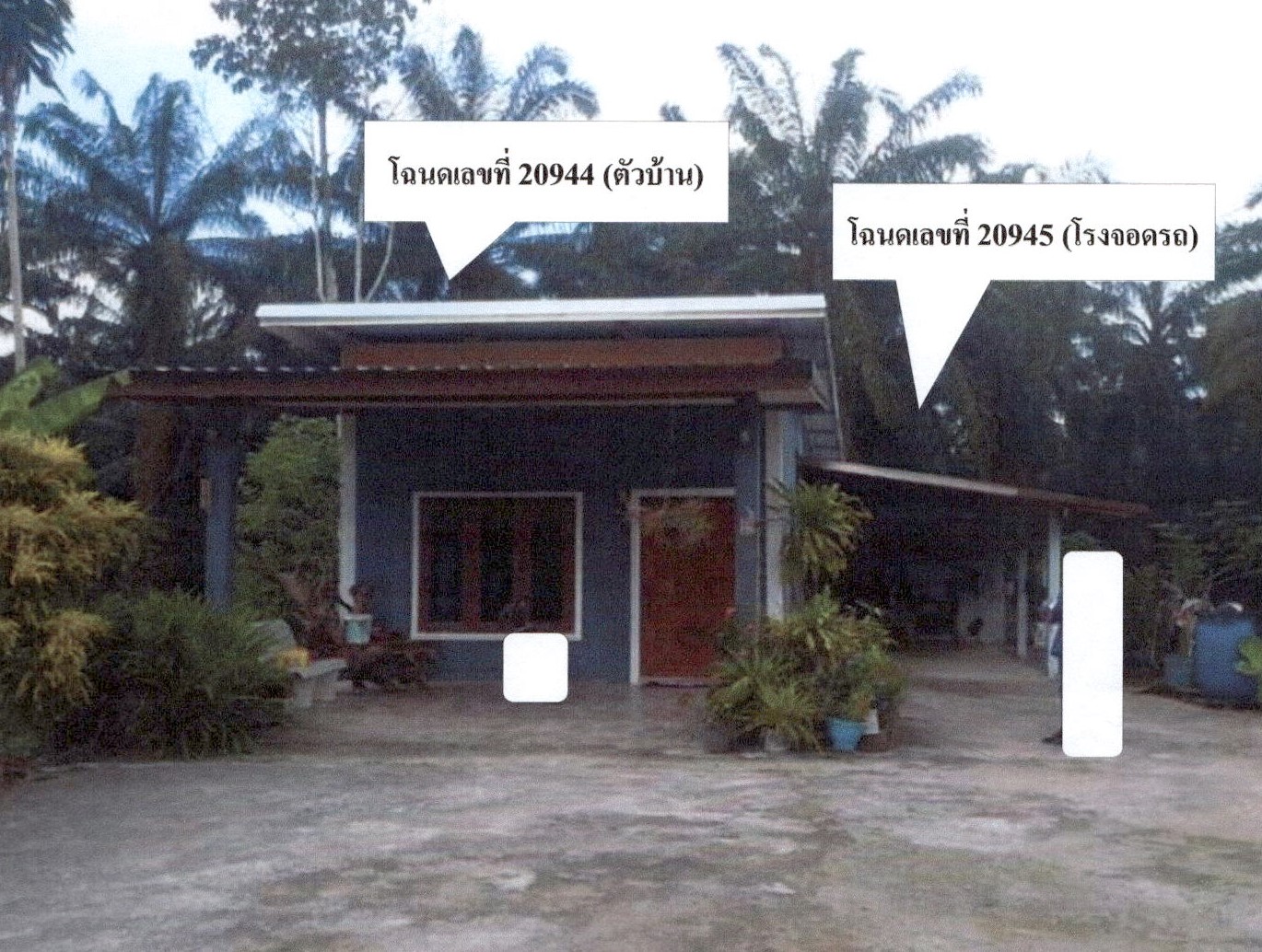 รูปที่ดินพร้อมสิ่งปลูกสร้าง เหนือคลอง เหนือคลอง กระบี่