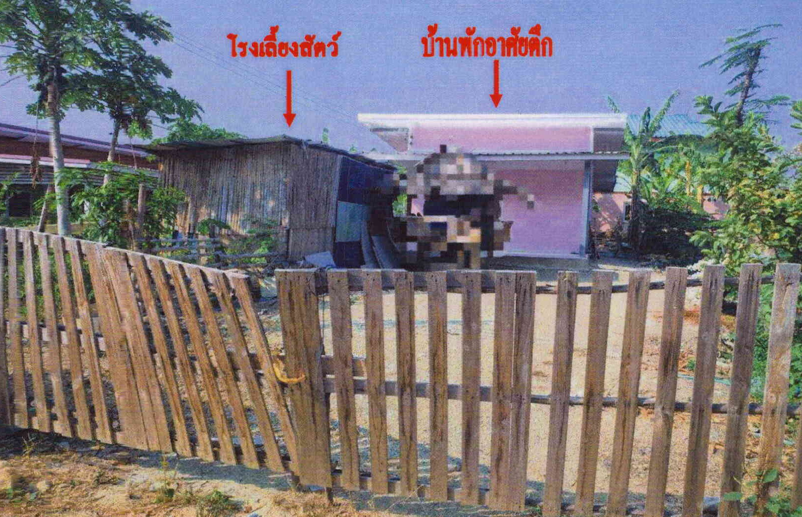 รูปที่ดินพร้อมสิ่งปลูกสร้าง วังจั่น โคกสำโรง ลพบุรี