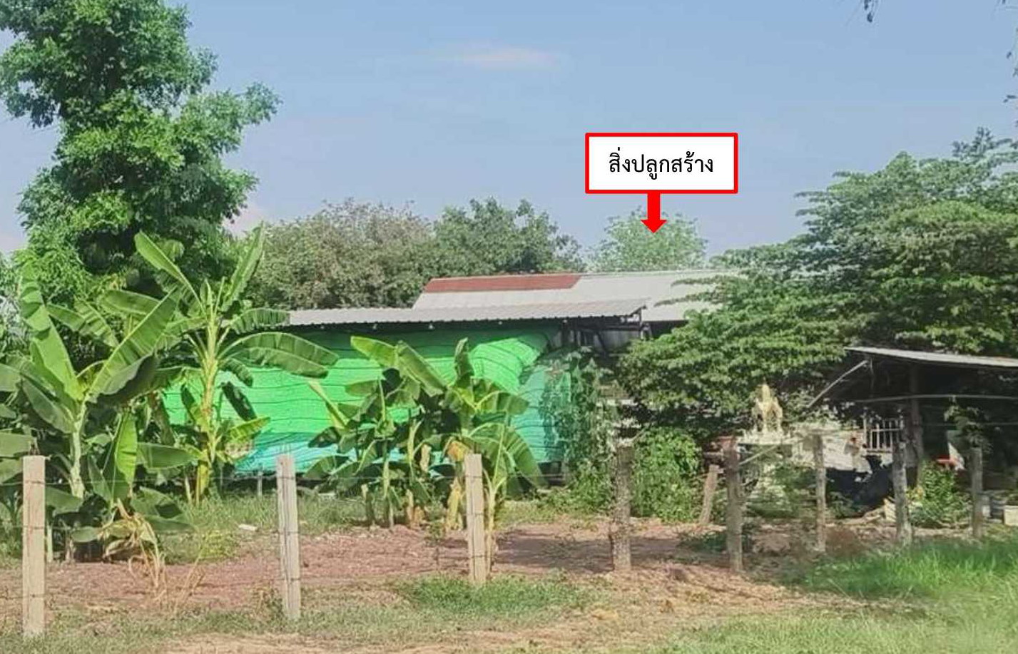 รูปที่ดินพร้อมสิ่งปลูกสร้าง โคกม่วง โนนสัง หนองบัวลำภู
