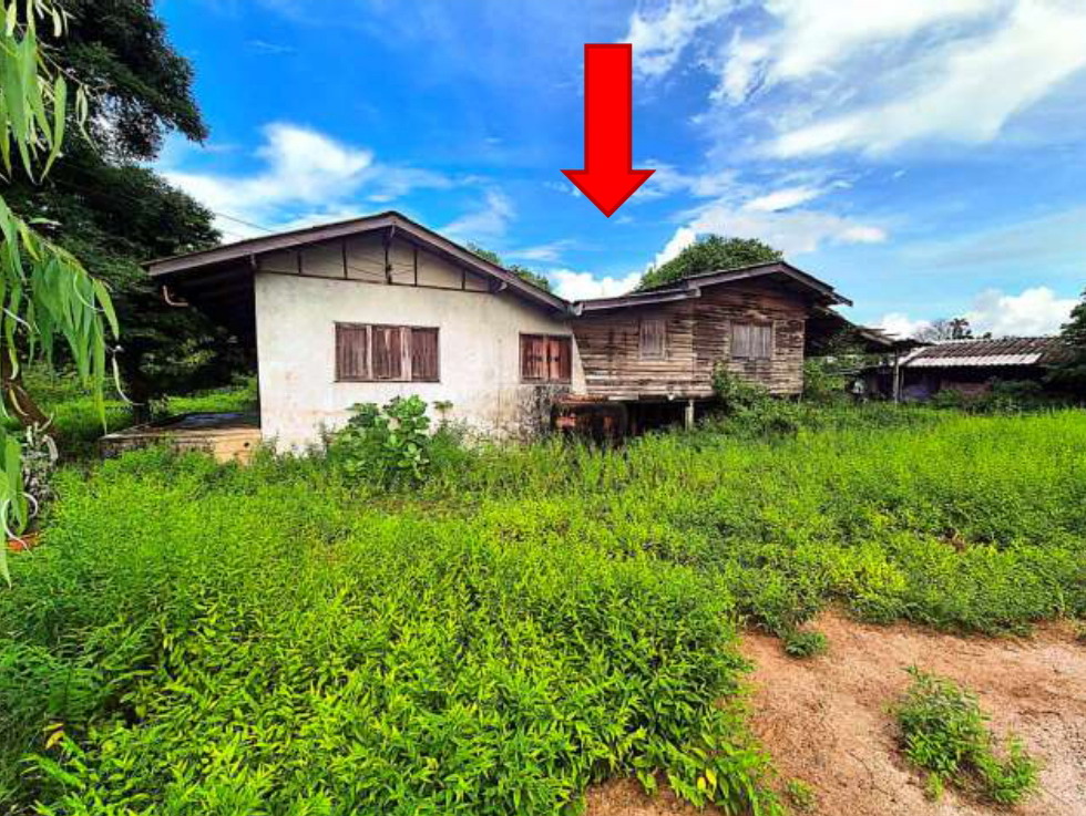 รูปที่ดินพร้อมสิ่งปลูกสร้าง เพ เมืองระยอง ระยอง