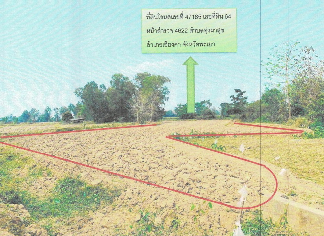 รูปที่ดินว่างเปล่า ทุ่งผาสุข เชียงคำ พะเยา