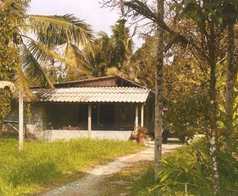 รูปที่ดินพร้อมสิ่งปลูกสร้าง นาเคียน เมืองนครศรีธรรมราช นครศรีธรรมราช