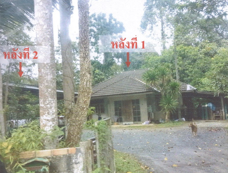 รูปที่ดินพร้อมสิ่งปลูกสร้าง ชะมาย ทุ่งสง นครศรีธรรมราช