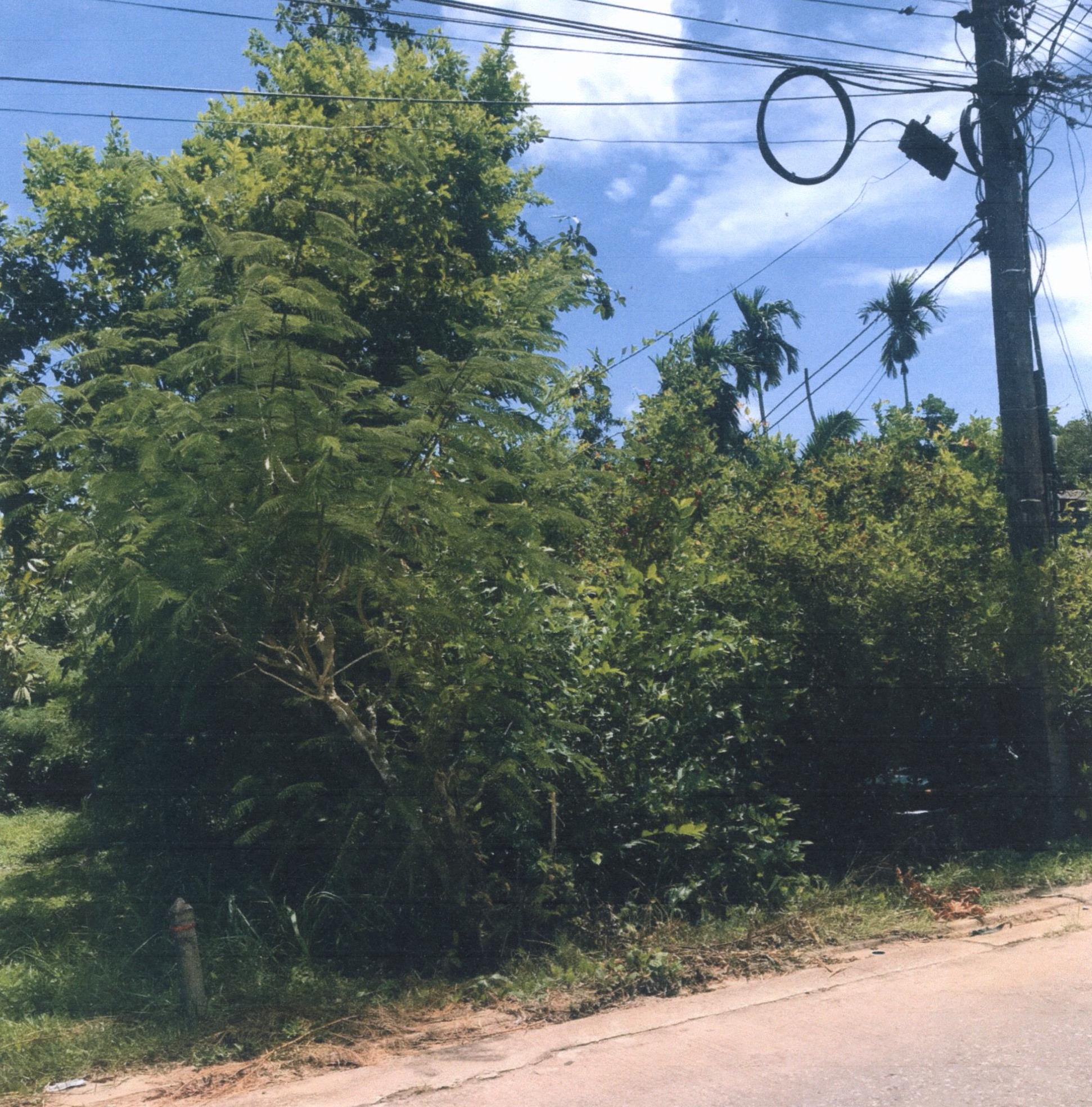 รูปที่ดินว่างเปล่า นาโพธิ์ สวี ชุมพร