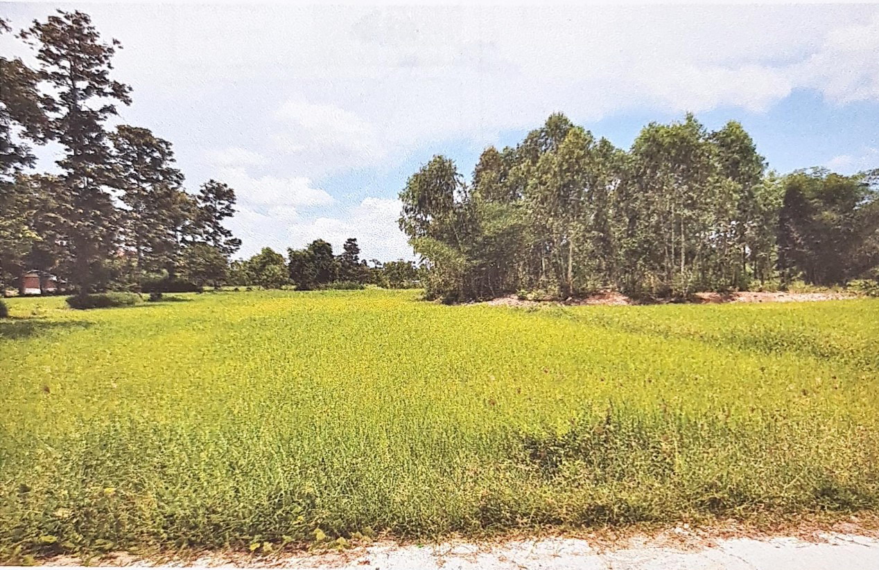 รูปที่ดินว่างเปล่า หนองอ้ม ทุ่งศรีอุดม อุบลราชธานี