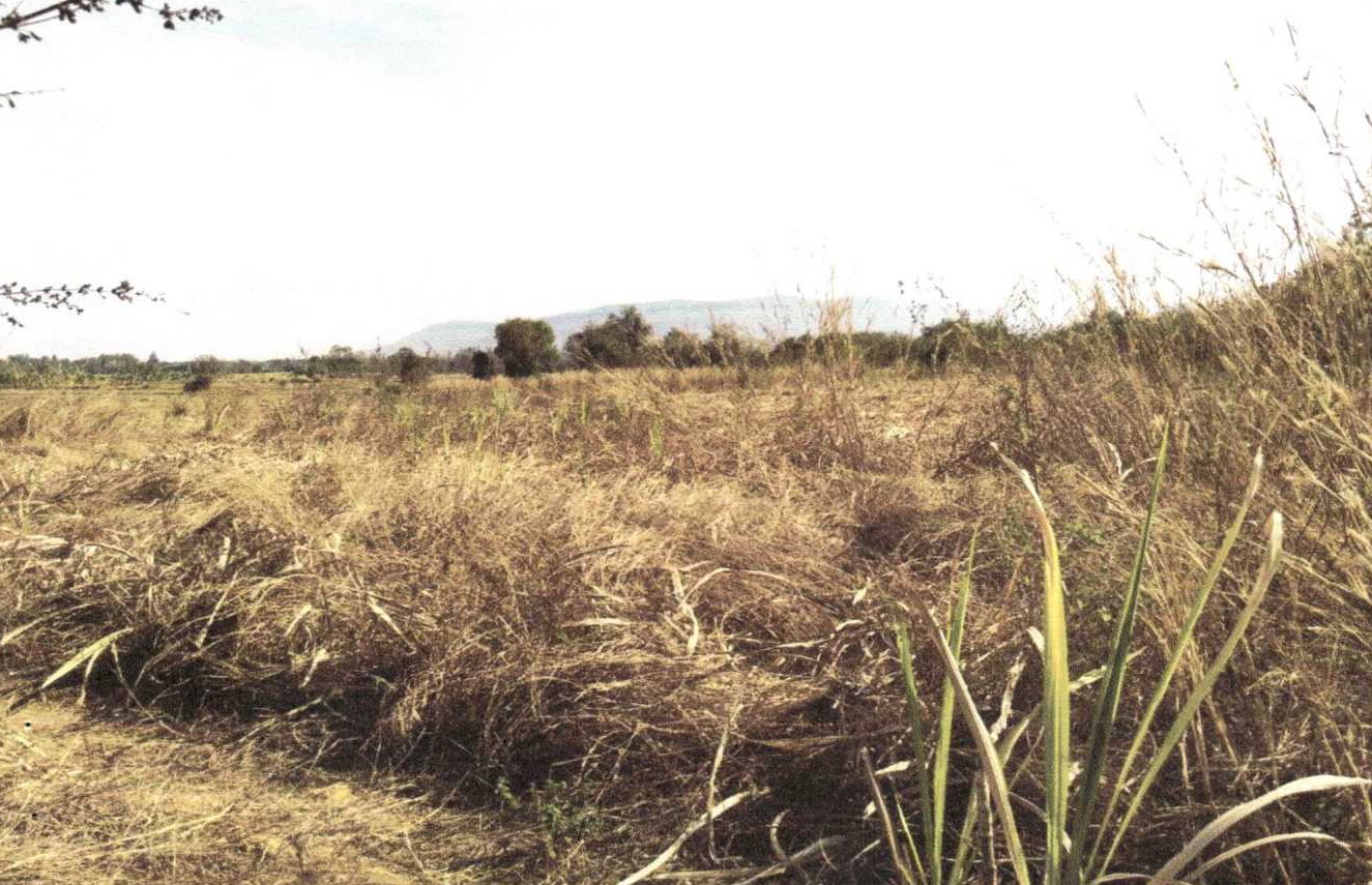 รูปที่ดินว่างเปล่า นากอก ศรีบุญเรือง หนองบัวลำภู