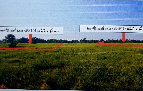 รูปที่ดินว่างเปล่า จันจว้าใต้ แม่จัน เชียงราย