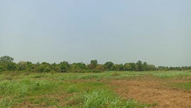 รูปที่ดินว่างเปล่า โคกสำราญ บ้านแฮด ขอนแก่น