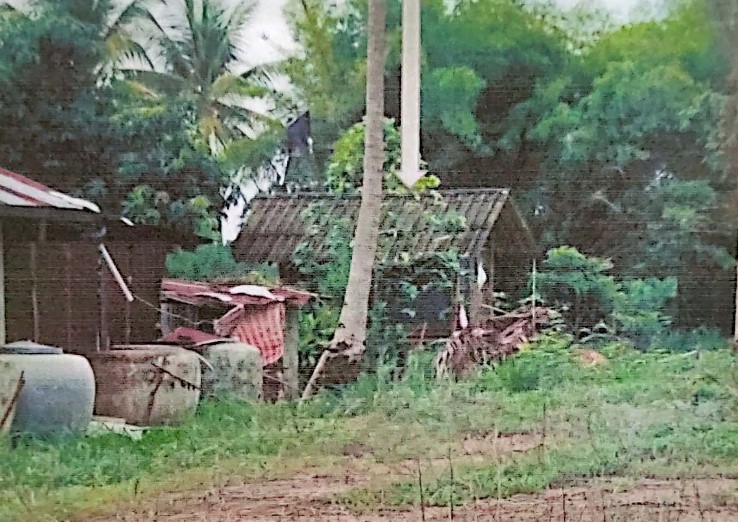 รูปที่ดินพร้อมสิ่งปลูกสร้าง โพนเพ็ก มัญจาคีรี ขอนแก่น